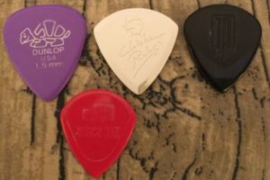 chichenpicks02