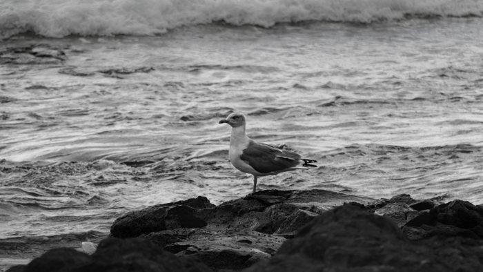 20140929a